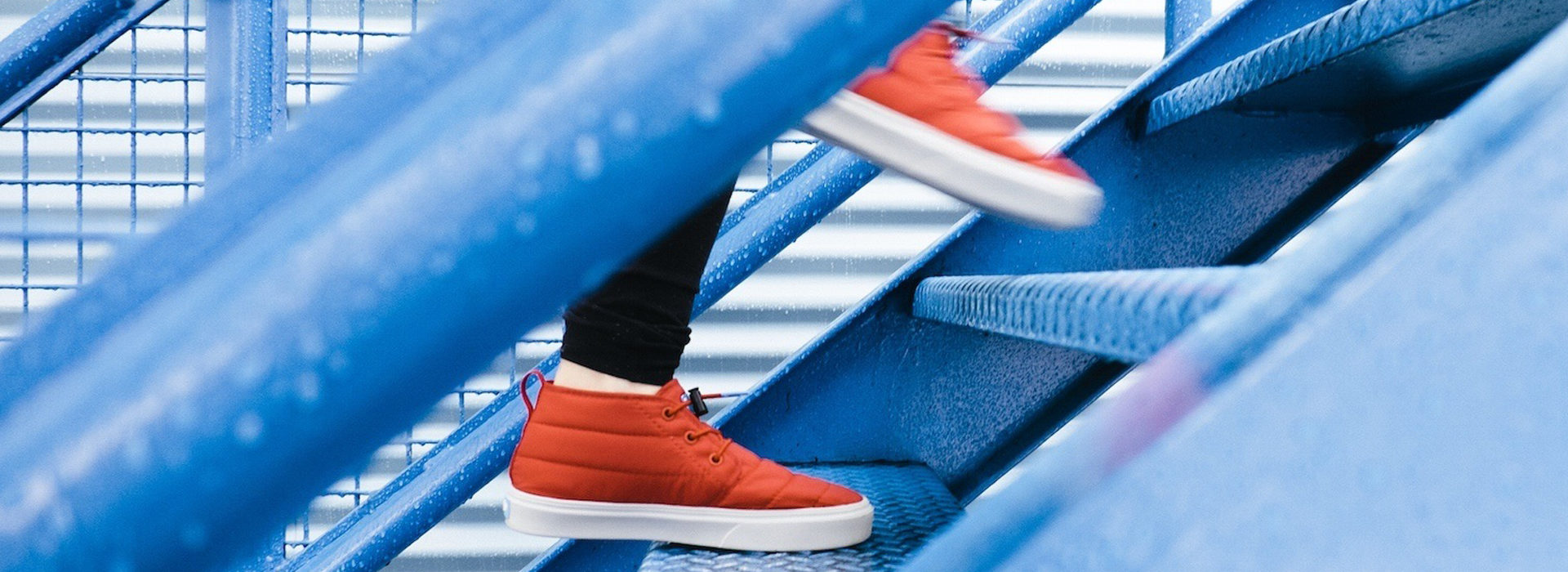 In Stappen Optimale Adoptie